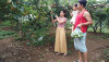 Du khách thích thú trải nghiệm  Hái lê tại vườn ở Giang Ma